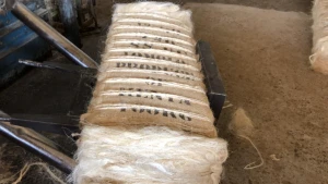 Wholesale sisal fiber for gypsum from kenya anti-uv sisal fiber from tanzania UG and SSUG natural sisal fiber / sisal