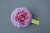 Import CAMELLIA (LIGHT/DARK) ARTIFICIAL FLOWERS DECORATION FLOWER ORNAMENT from China