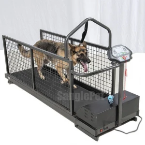 Dog land treadmill,Canine Runner Machine China Factory