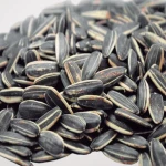 Good Quality Sunflower seeds