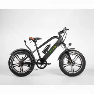 E-bike Hot sale Lithium battery electric bike350W 48V 8AH Rear motor electric fat bike EK-Discovery