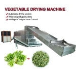 Industrial Automatic Mesh Belt Celery Dryer Machine Vegetable Leek Spinach Parsley Dehydrator Drying Processing Plant