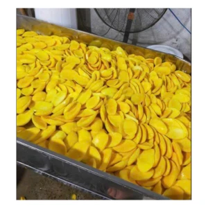 Premium Soft Dried Mango Sourcing from Viet Nam Competitive Price