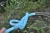 Import Flexible PVC Garden Hose Pipes from India