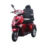 Factory Hot Sell Luxury 3 Wheel Electric Scooter 1000W Adult Open Body with Chair
