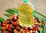 Oil palm.R.B.D oil palm