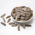 Natural and Best Price Sunflower Seed Kernels / Nuts Available in 25 Kgs/bag