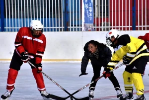 1220×2440×20mm UHMWPE Sheet Low Friction Ice Hockey Practice Panel