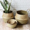 Natural Seagrass Belly Basket with Handles Seagrass Planter for Fig Indoor Plants Primary Color