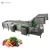 Import MNS-6000 Large Commercial Vegetable Fruit Air Bubble Washing Machine from China