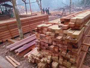 Meranti wood