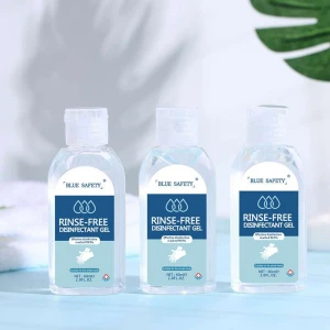 Factory ODM Stock 60ML Bottled OEM Portable Waterless Antiseptic Liquid Hand Sanitizer For Hand Wash