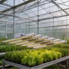 Full Spectrum Octopus Plant Light Ideal for Seedlings and Houseplants