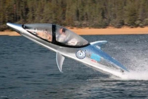 Dolphin Power Boat  Z Model