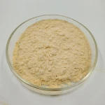 Organic Sunflower Seed Protein Powder – High Protein Plant-Based Ingredient for Food & Feed Use