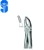 Import Extracting forceps from Pakistan