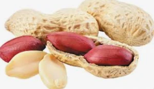 High Quality Peanuts