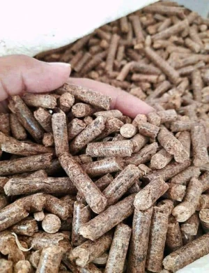 Wood pellet/biomassa