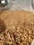 Import Wood pellet/biomassa from Indonesia