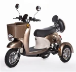 Electric Scooters