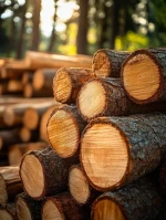 Quality Timber for Export