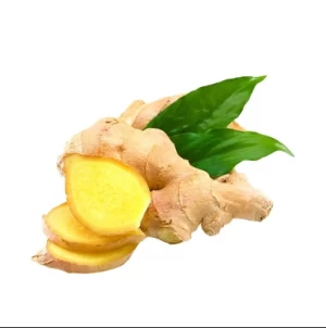 High quality dried fresh ginger