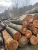 Import Quality Timber for Export from Nigeria