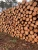 Import Quality Timber for Export from Nigeria