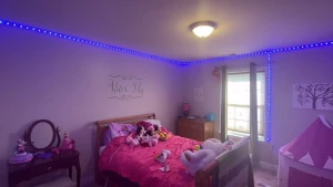 Energy-Saving LED Ceiling Lights