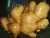 Import ginger from China
