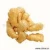 Import ginger from China