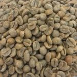 Bulk Order Robusta Coffee Bean Roasted Carefully Robusta Coffee Bean Packed For Quick Shipping And High Demand