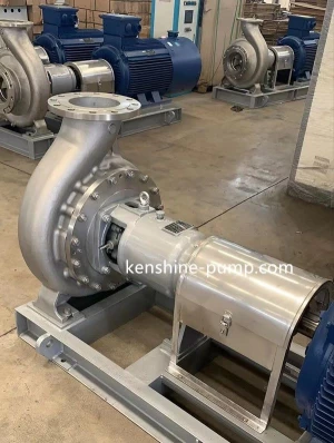 CZ Stainless steel chemical process pump