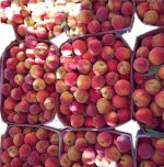Fresh Organic Cameroonian Nectarines Peaches High Quality 100% Pure Natural Sweet Rich in Vitamins