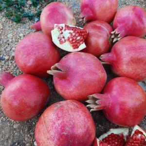 Pomegranate Fruit