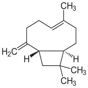 Beta Caryophyllene 95% (CL-603)