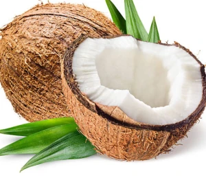 High Quality Semi Husked Fresh Coconuts Export Standard