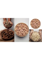 Raw Cashew Kernels Natural Healthy Protein Rich Nuts