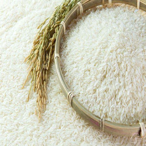 Juha Rice Buy Aromatic Joha Rice from Nufleva International LLP, India ...