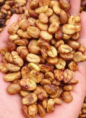 Arabica green coffee bean (Honey -Gayo)