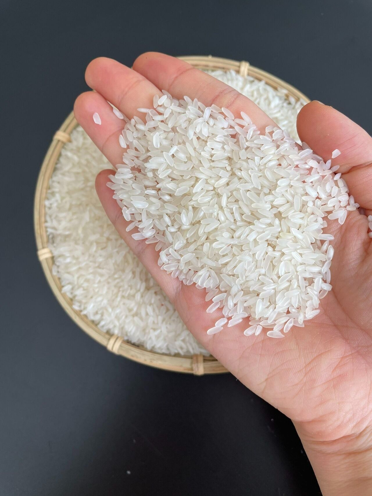 Buy Premium Quality Calrose Rice - Medium Grain Rice from MARIOX ...