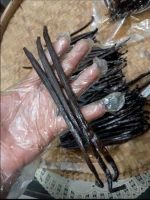 Java Vanilla Beans