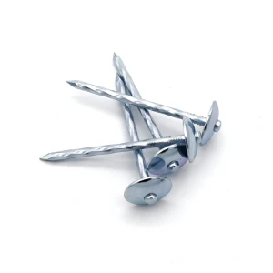 Umbrella Head Roofing Nails from China Nail Manufacturer - Galvanized Carbon Steel With Washer