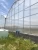 Import Greenhouse modern from Iran