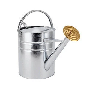 10 Litre Traditional Galvanized Watering Can