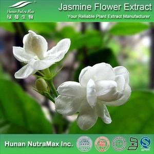 100% Natural Jasmine Extract,Jasmine Flower Extract,Jasmine Flower Tea Extract