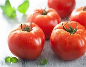 100% Pure Fresh Plum Tomatoes In Austria