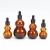 Import 10ml-100ml glass bottle with amber essential oil dropper from China