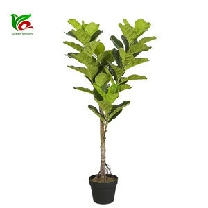 110cm Popular Design Fiddle Leaf Plant For Sale Y8515-60-4-1PS