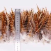 15-20CM Gold Medal Manufacturer Wholesale Orange Chicken Pheasant Feather Handmade DIY Earrings Jewelry Accessories Clothing